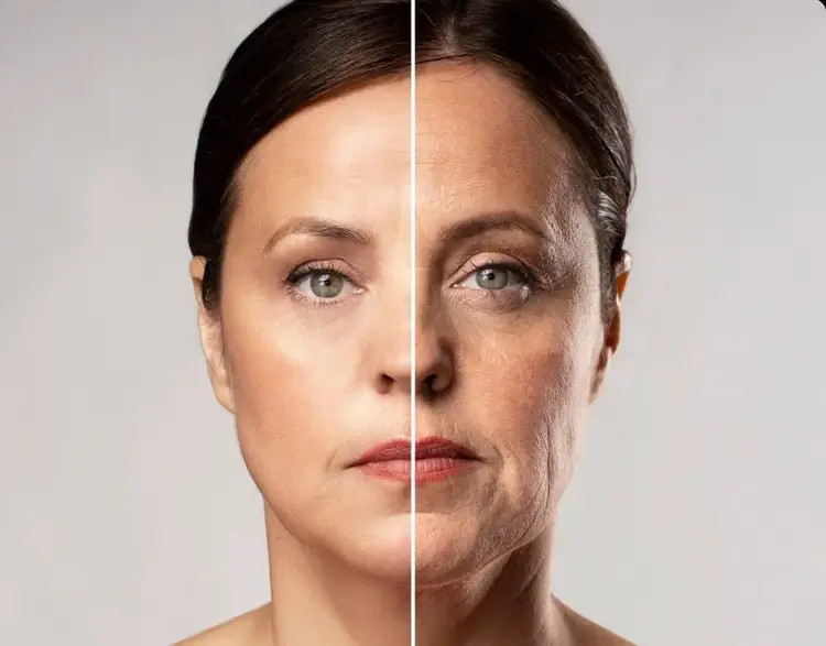 کوکونات کلاژن قیمت